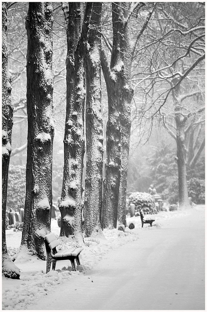 Park im Winter