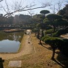 Park im Wohnviertel Tokios