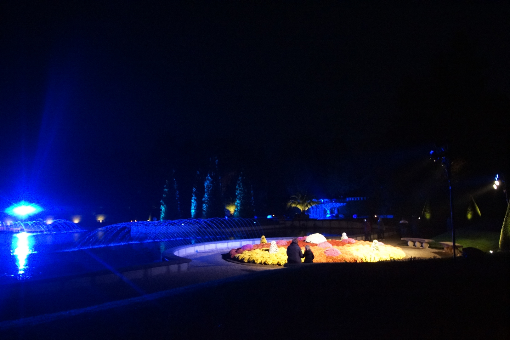 Park in Arcen bei Nacht