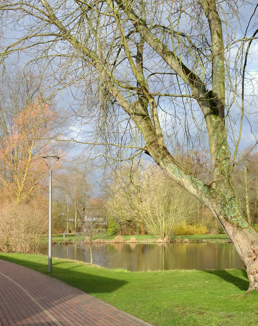 Park in Bad Bevensen