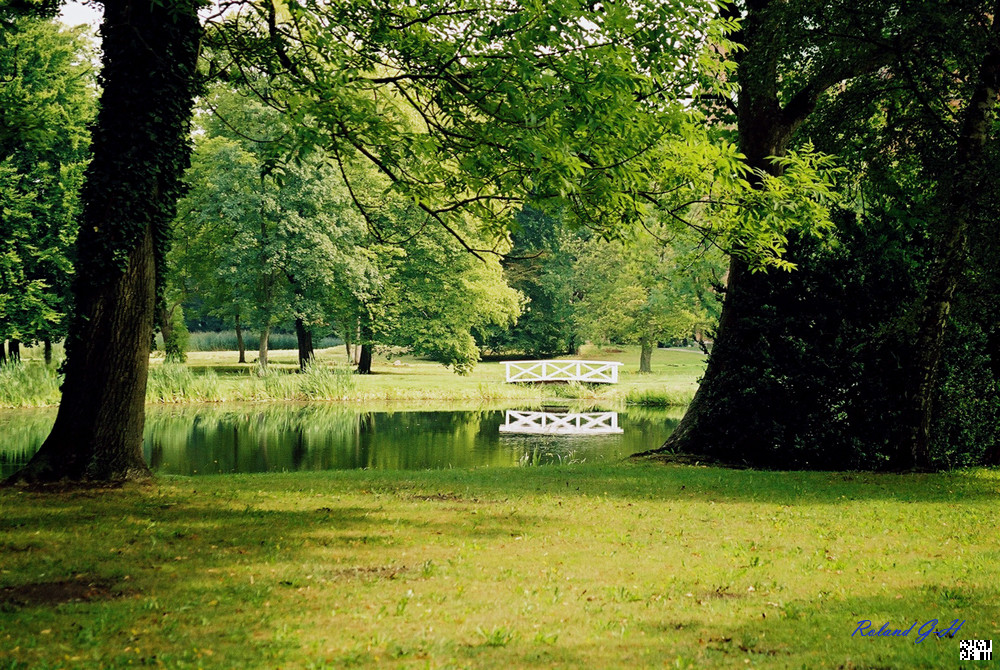 Park in Bad Doberan