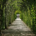 Park in Bayreuth