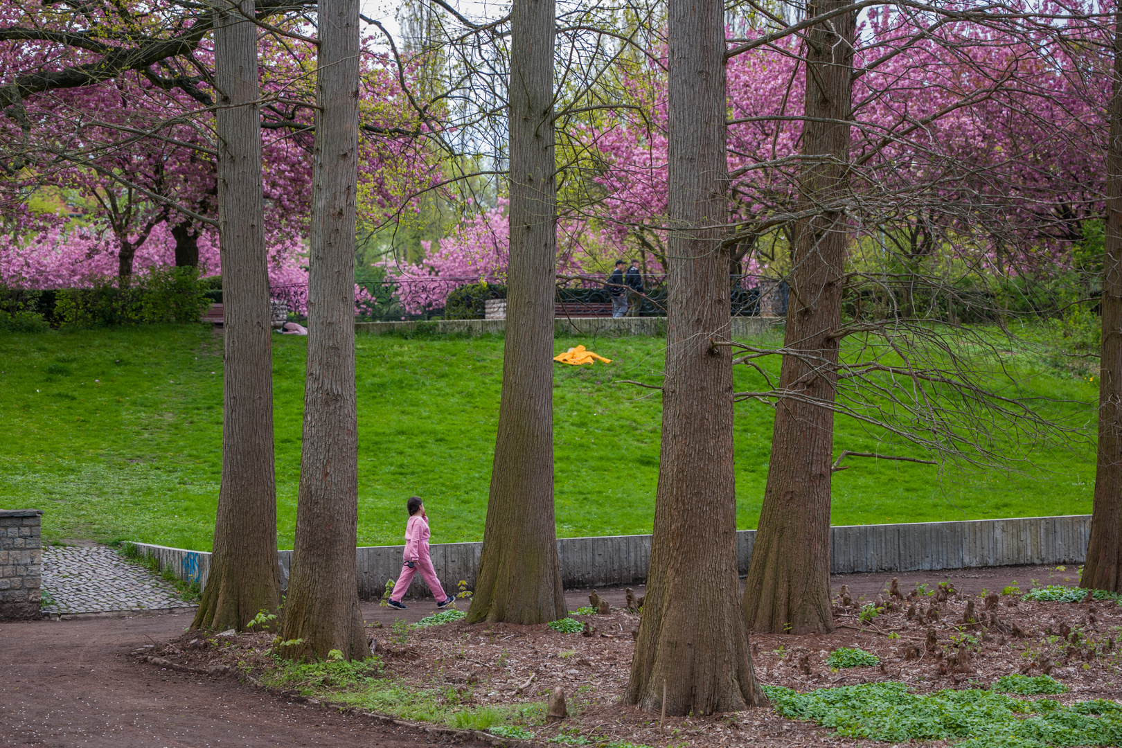 Park in Berlin