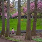 Park in Berlin