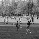 Park in Bonn