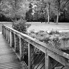 Park in Bruges