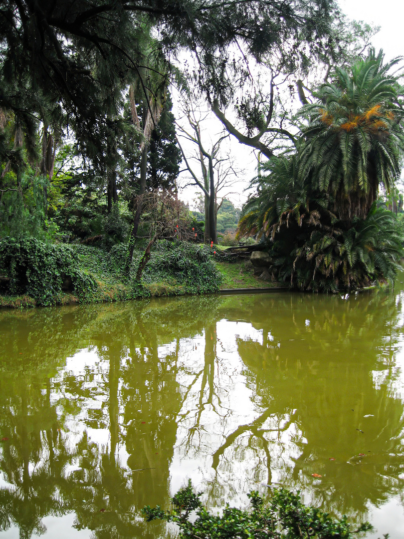 Park in Buenos Aires