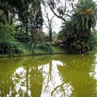 Park in Buenos Aires