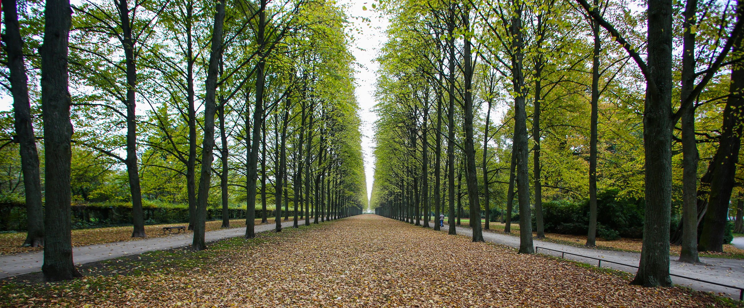 Park in Celle