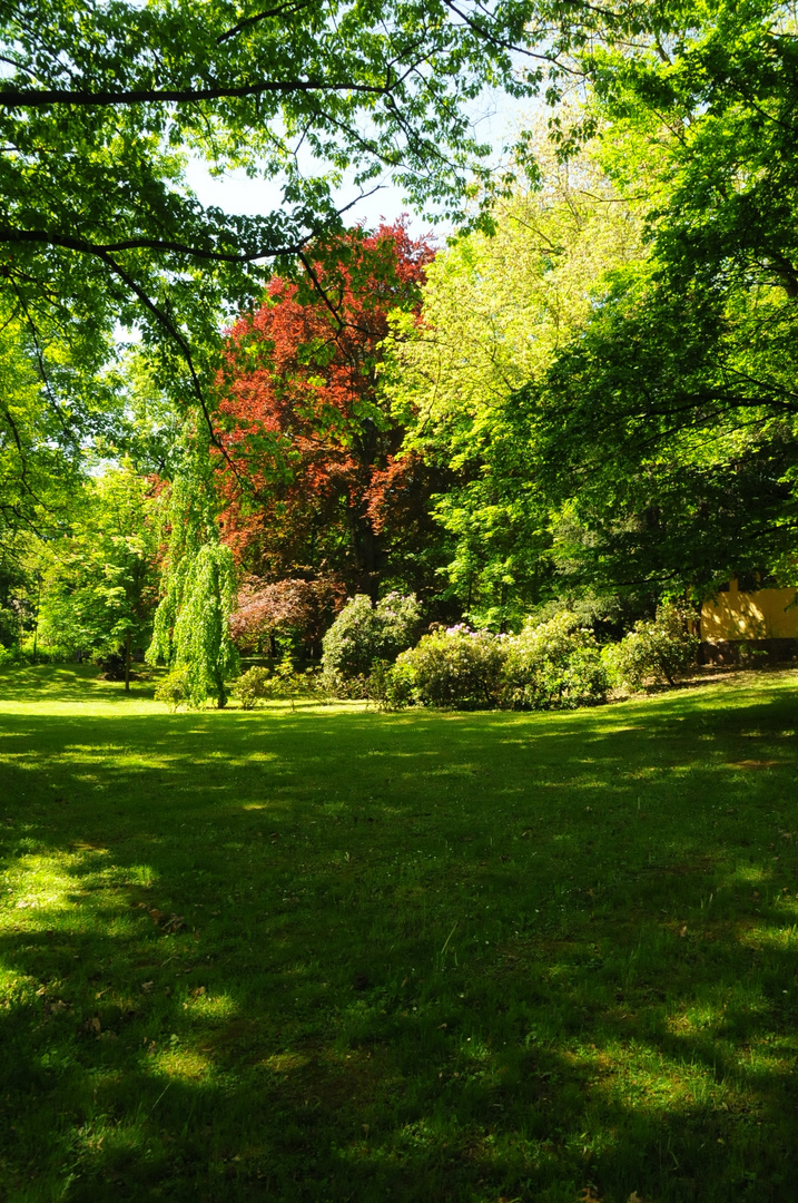 Park in Crimmitschau