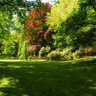 Park in Crimmitschau