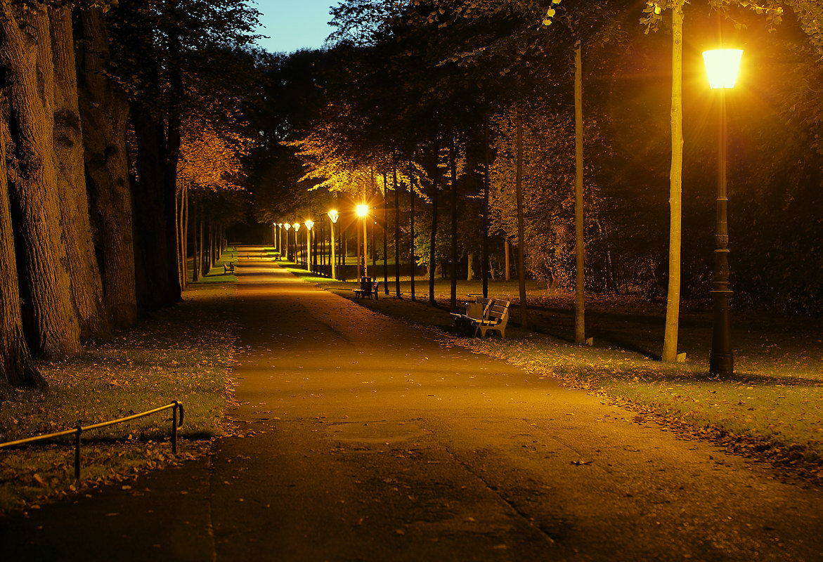 Park in der Nacht