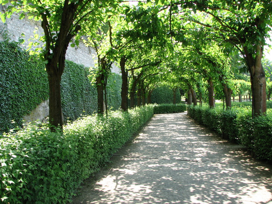 Park in der Residenz Würzburg