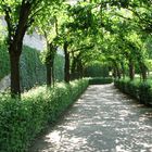 Park in der Residenz Würzburg