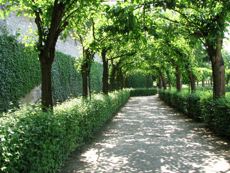 Park in der Residenz Würzburg Foto &amp; Bild landschaft
