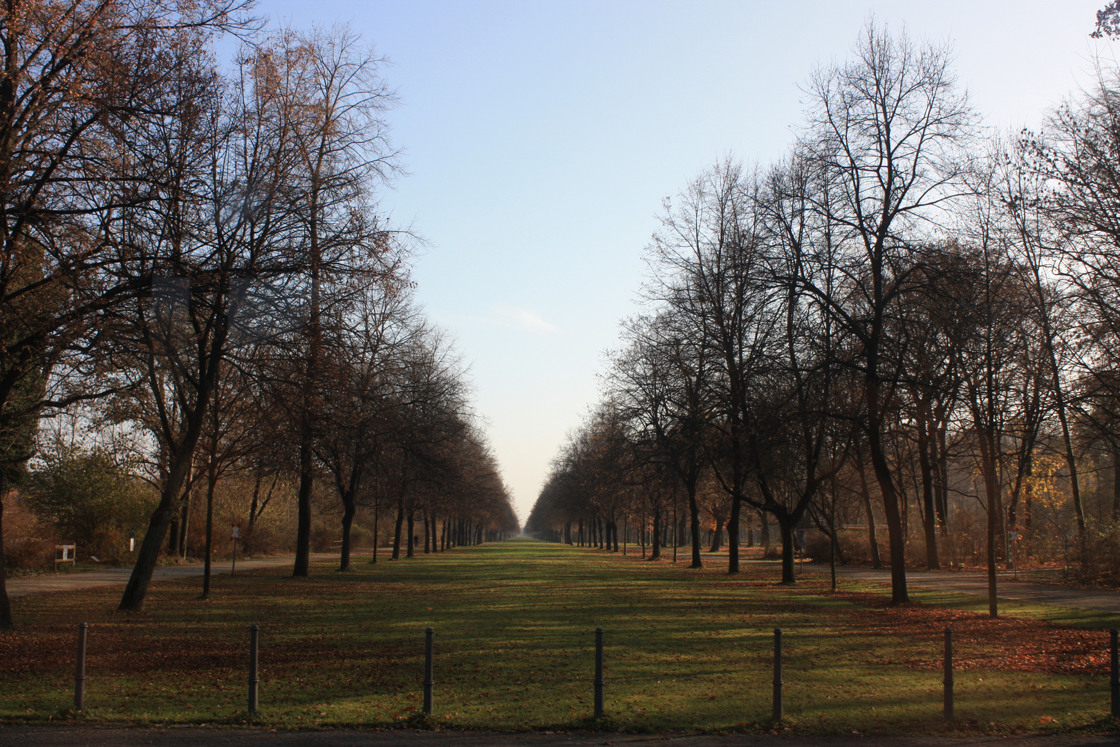 Park in Dresden