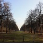 Park in Dresden