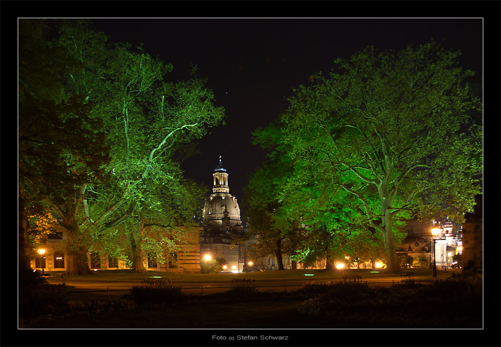 Park in Dresden