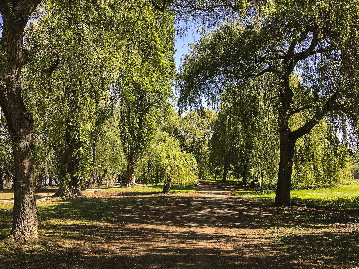 Park in Frei-Weinheim am Rhein