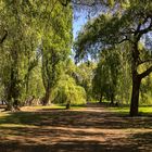 Park in Frei-Weinheim am Rhein