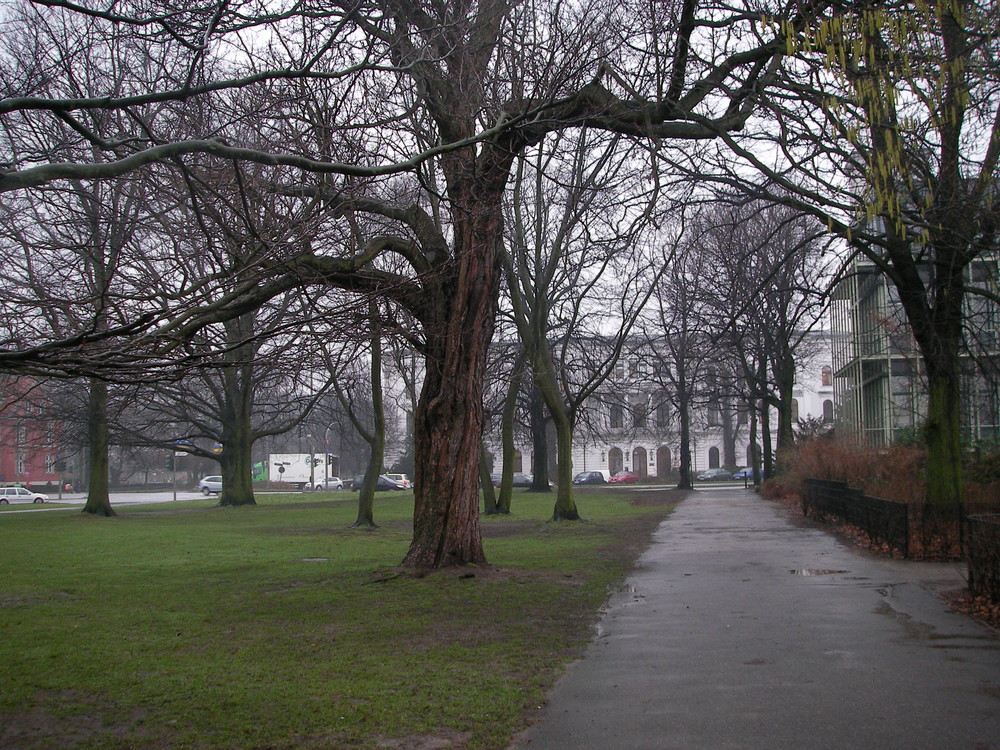 Park in Hamburg