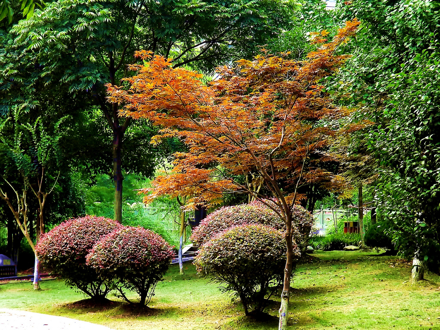 Park in Hang Zhou ;