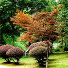 Park in Hang Zhou ;