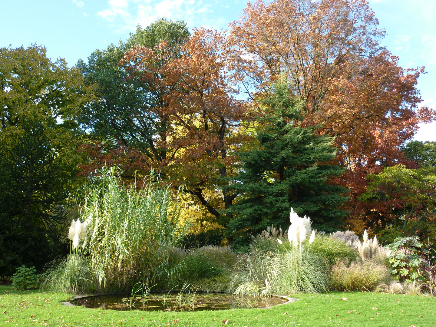 Park in Köln - Flora - 22.10.2013