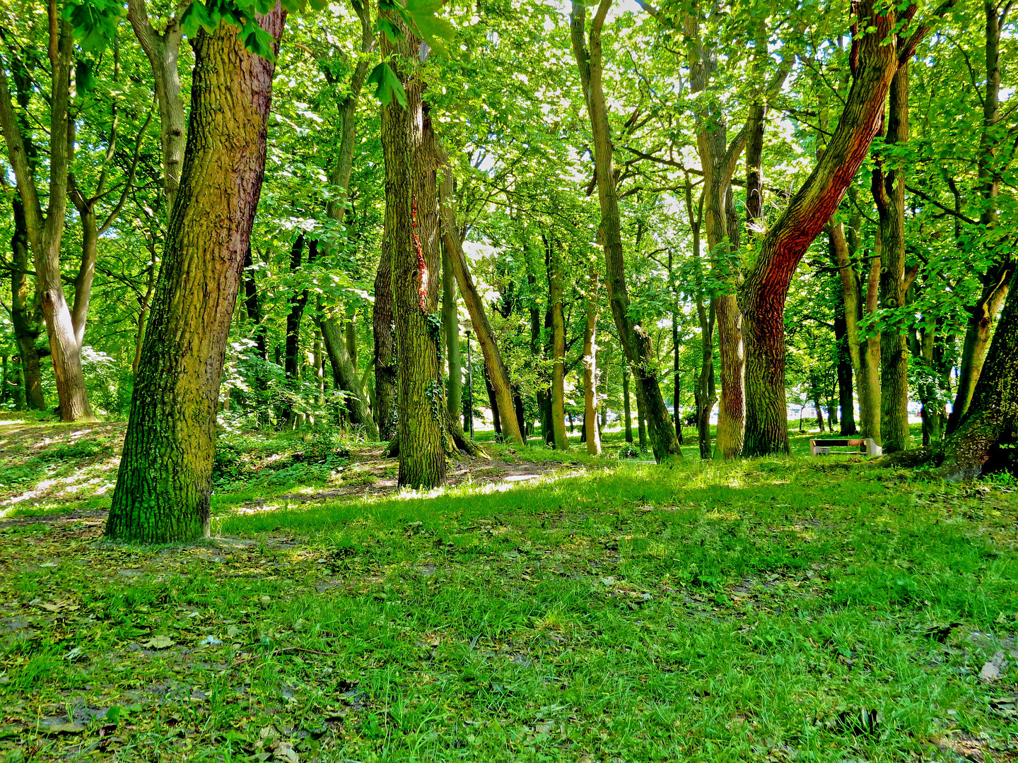 Park in Kolberg