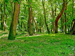 Park in Kolberg