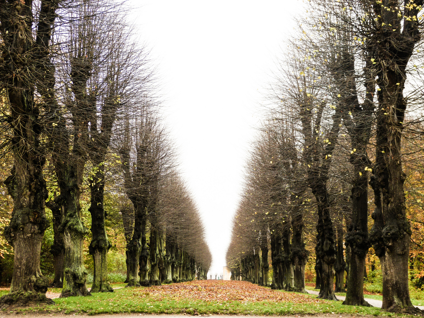 Park in Kopenhagen