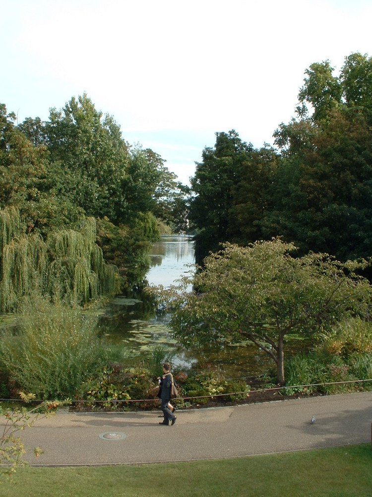 Park in London