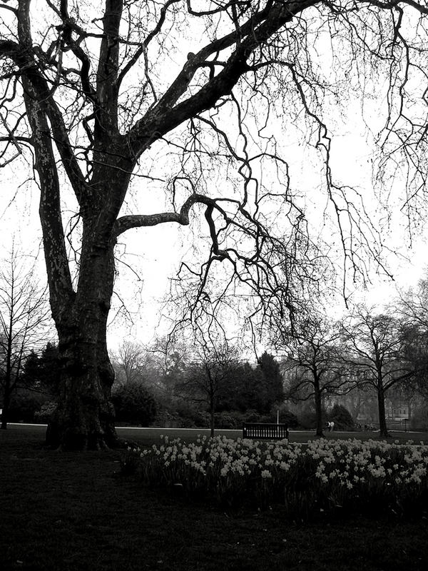 Park in London