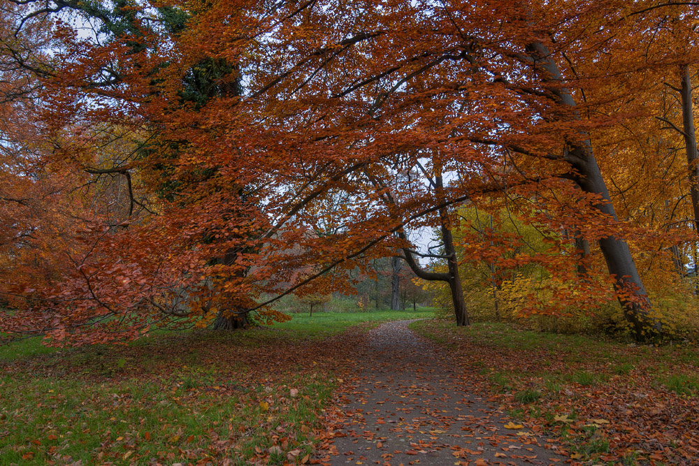 Park in Lübbenau/Spreewald 02