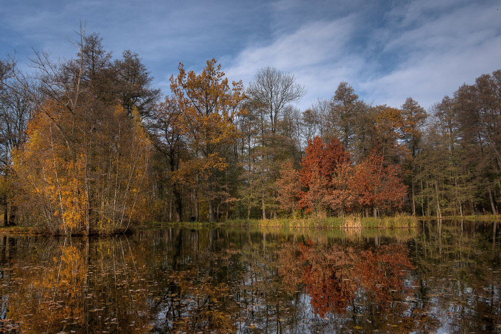 Park in Lübbenau/Spreewald 03