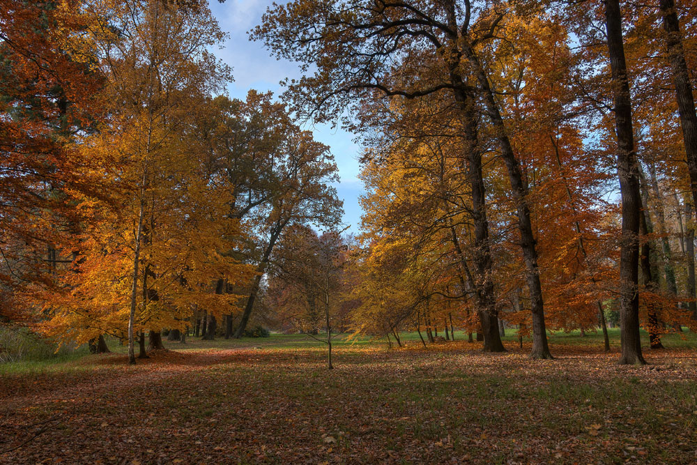 Park in Lübbenau/Spreewald 03