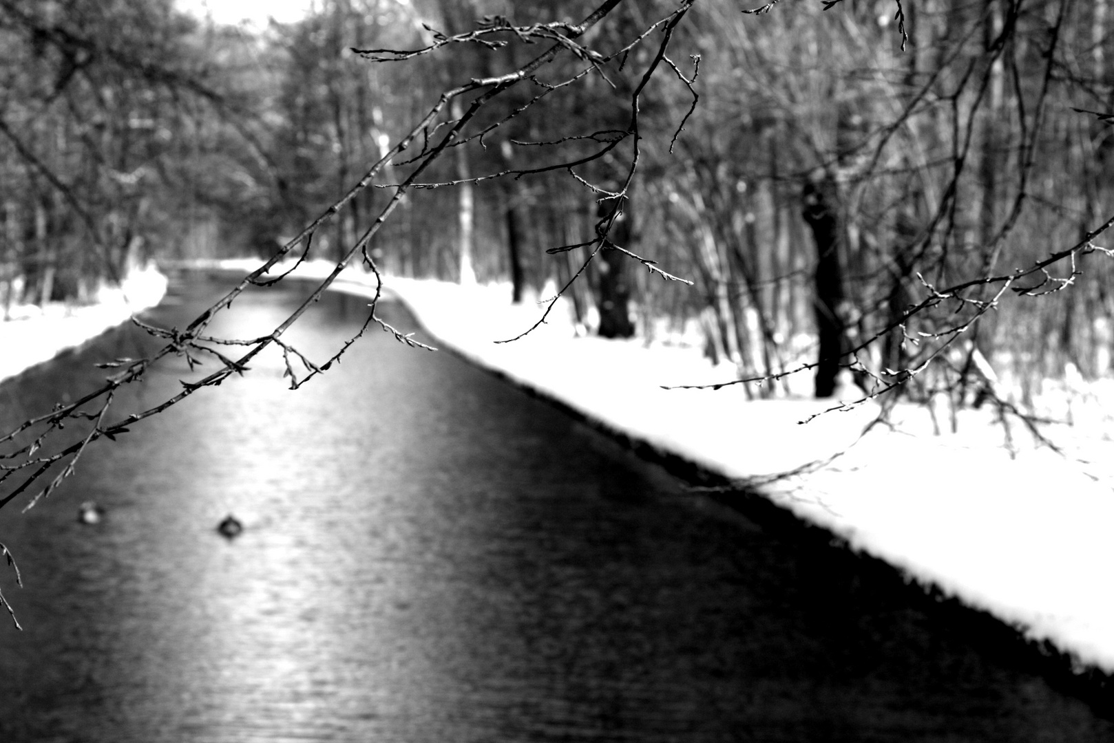 Park in Nymphenburg