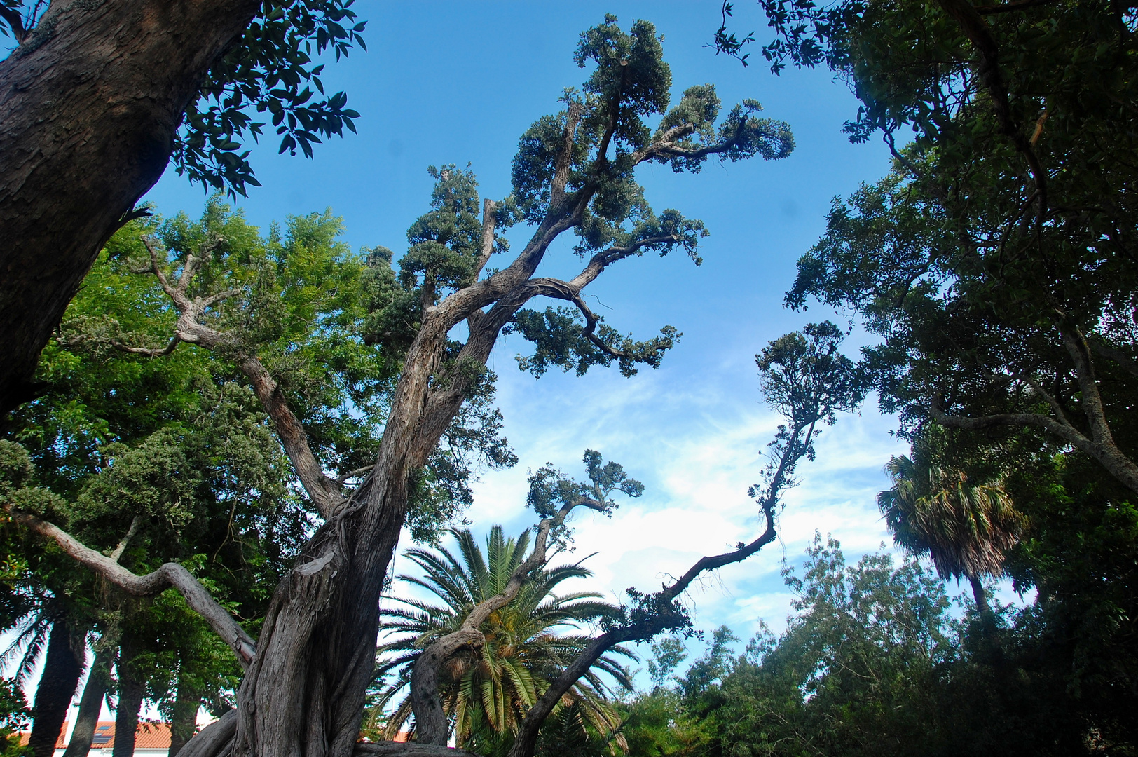 Park in Ponta Delgada