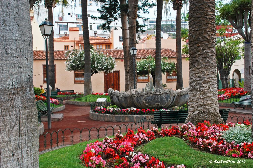 Park in Puerto de la Cruz