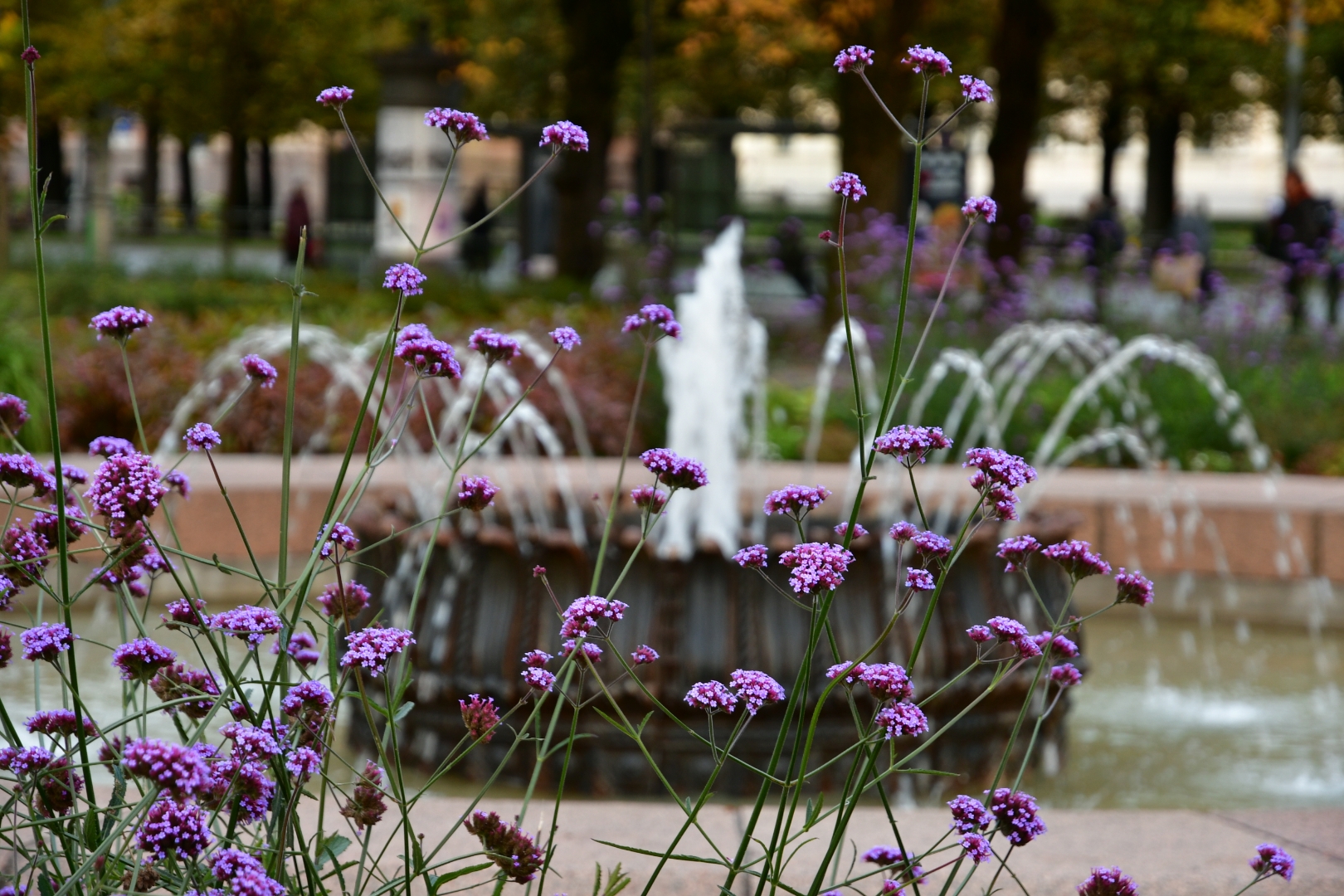 Park in Riga