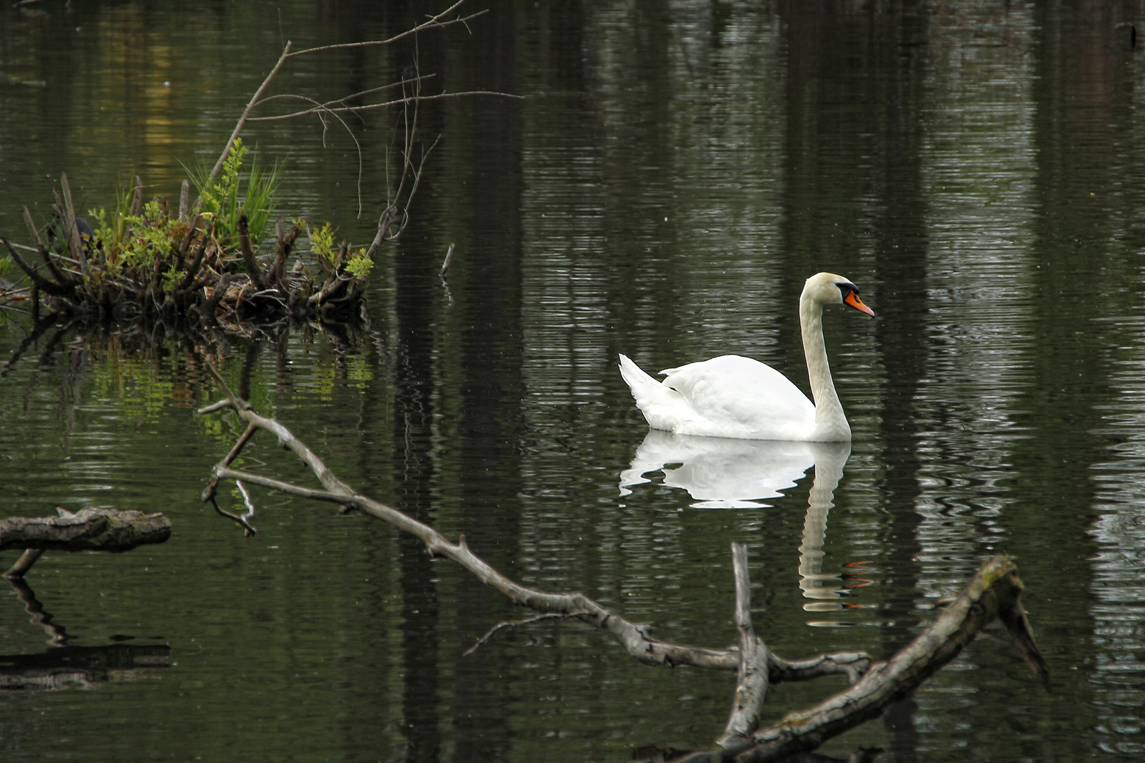 Park in Slubice