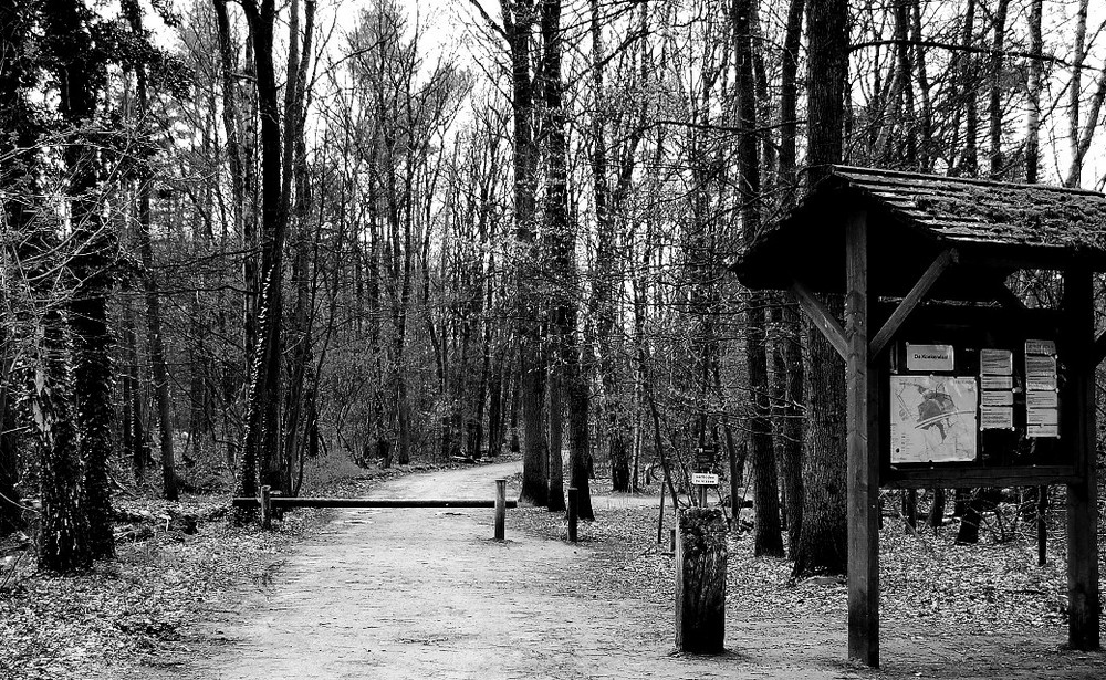 Park in SW - Doetinchem