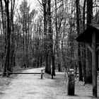 Park in SW - Doetinchem