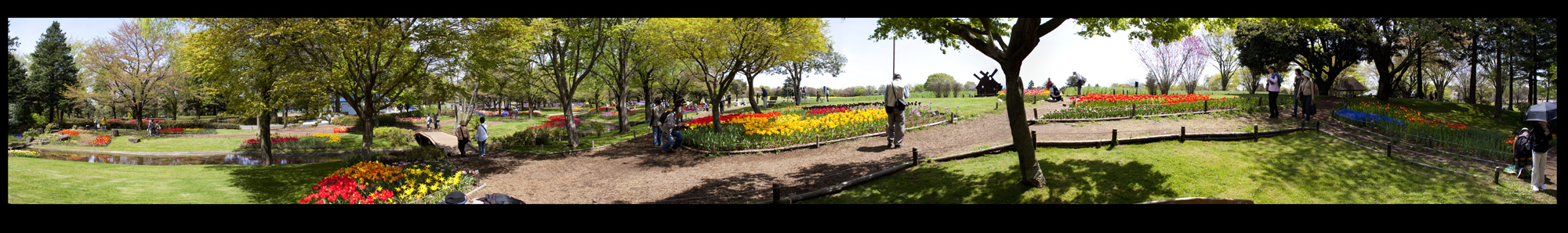 Park in the afternoon