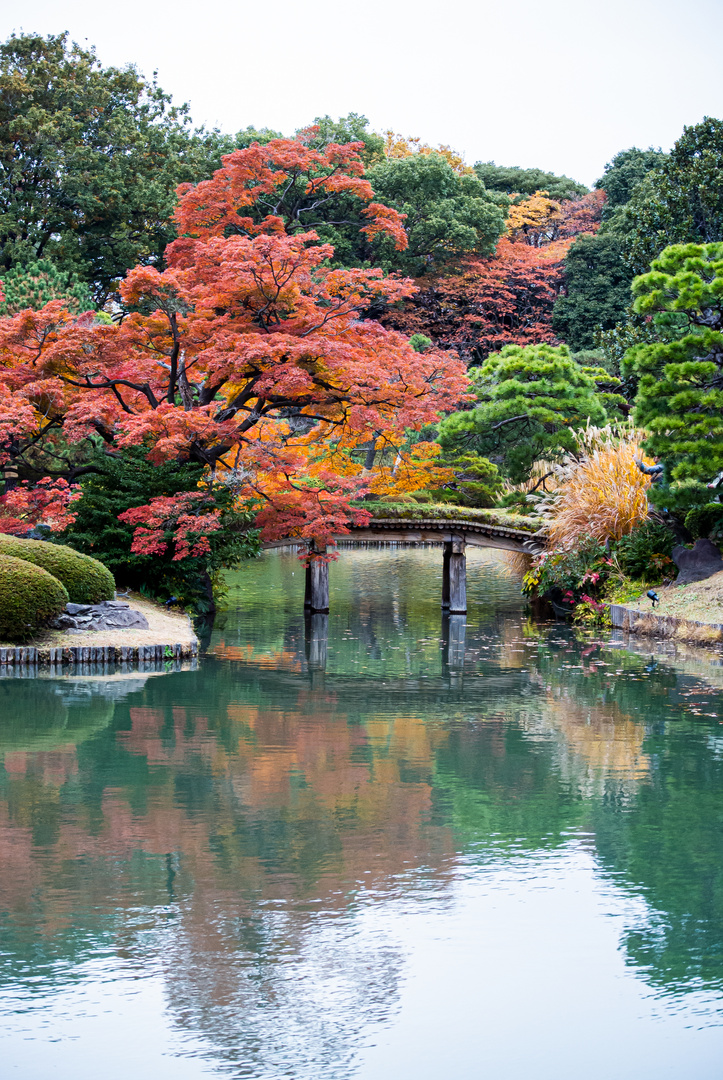 Park in Tokyo