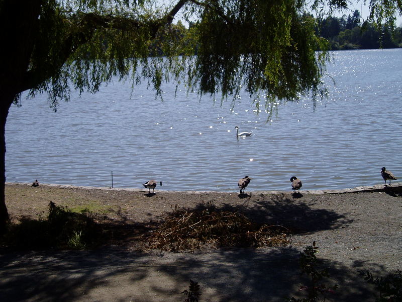 Park in Vancouver