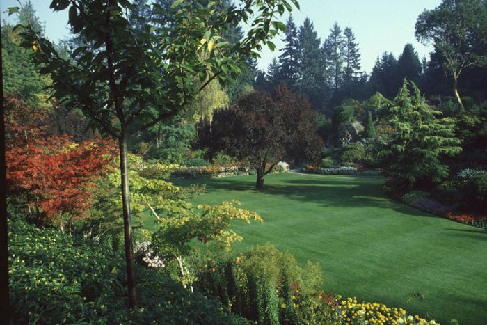 Park in Victoria, Vancouver Island