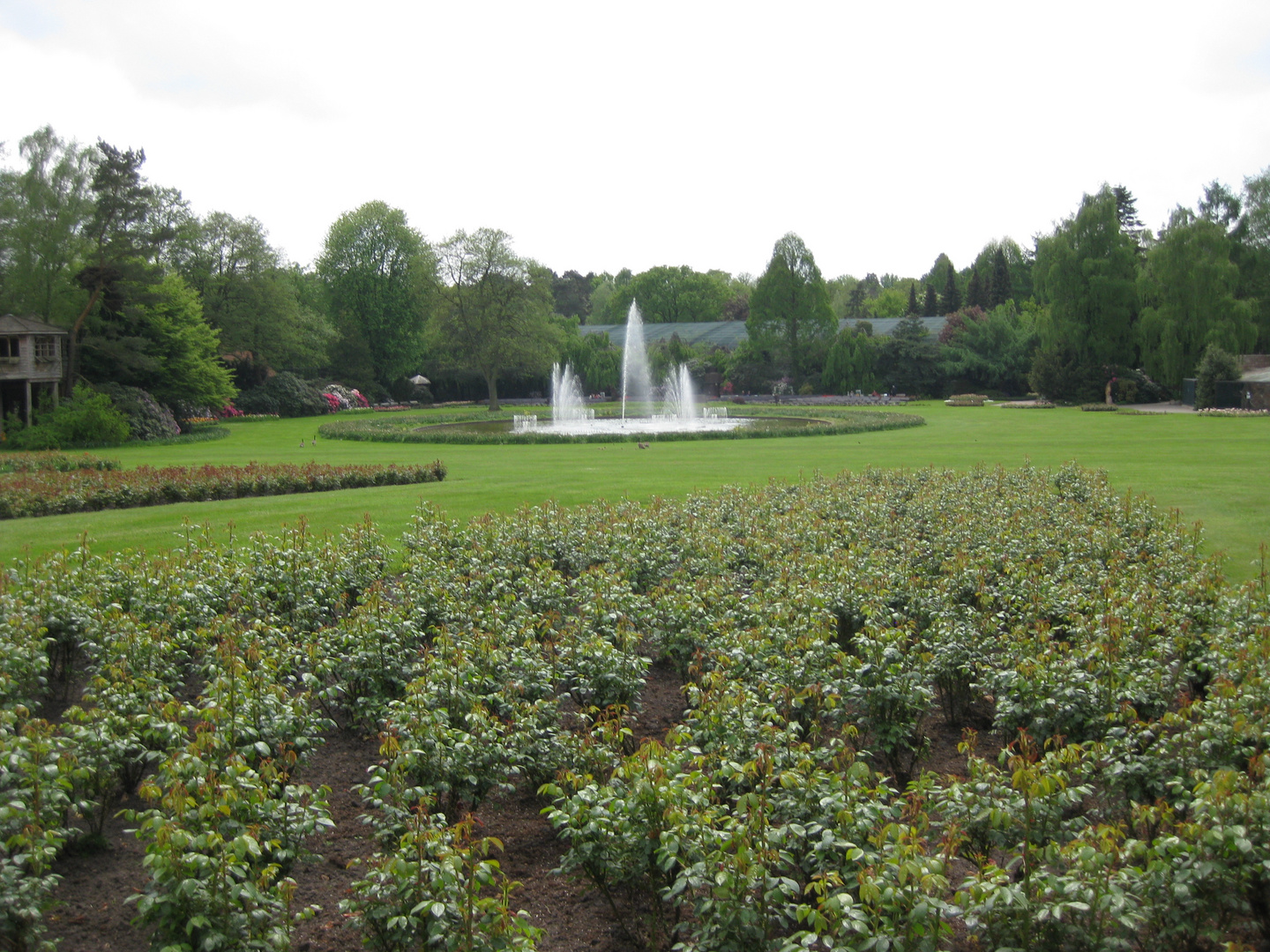 Park in Walsrode