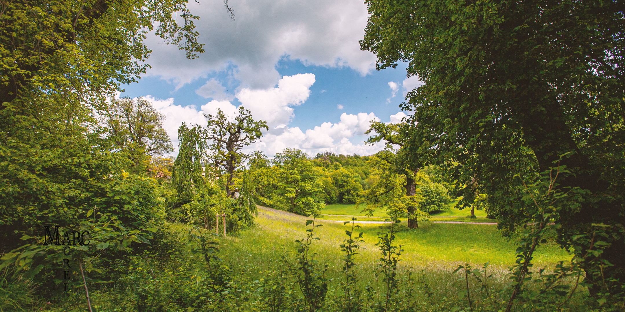  Park in Weimar