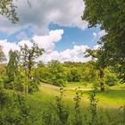  Park in Weimar